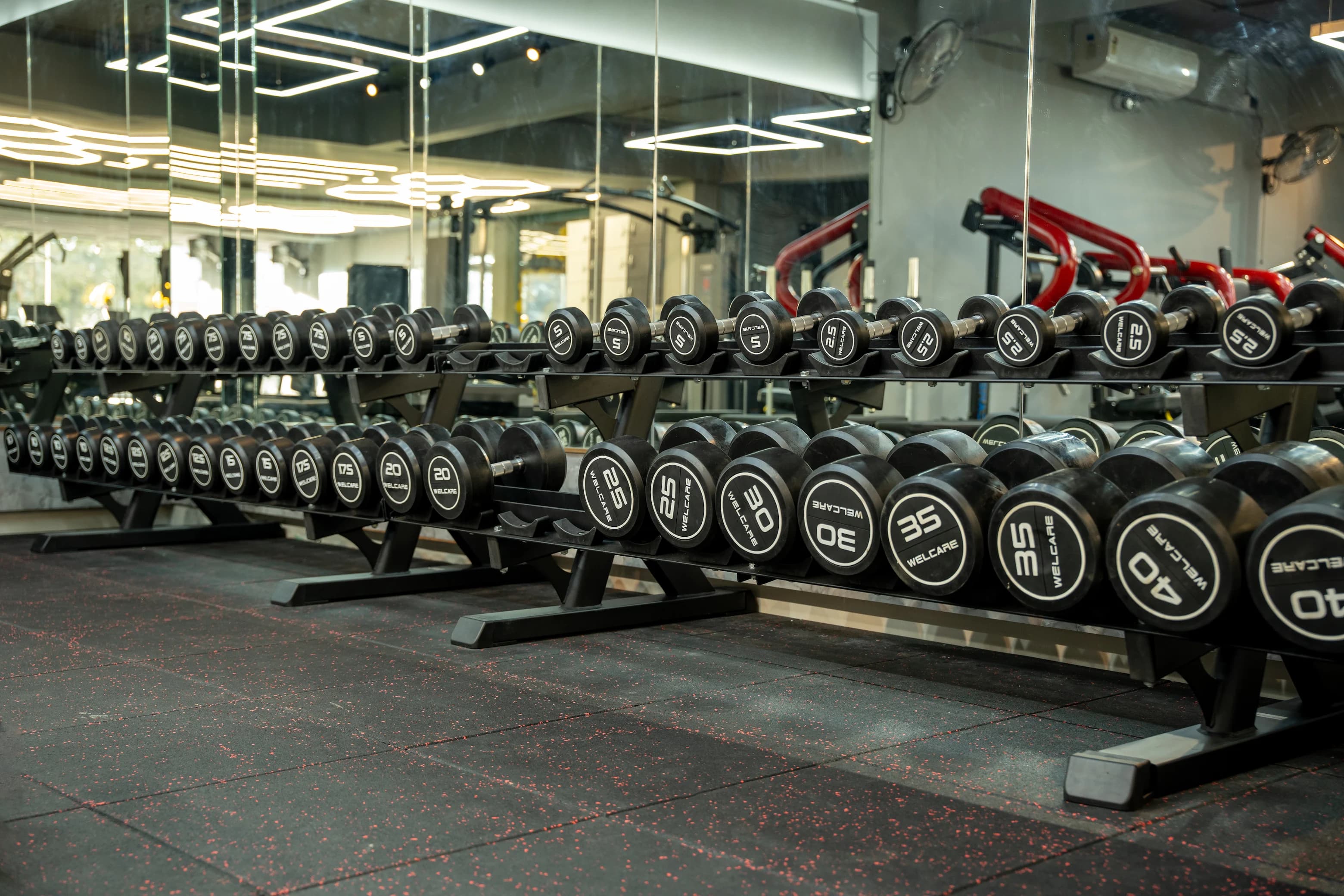 Alpha Fitness Gym Interior